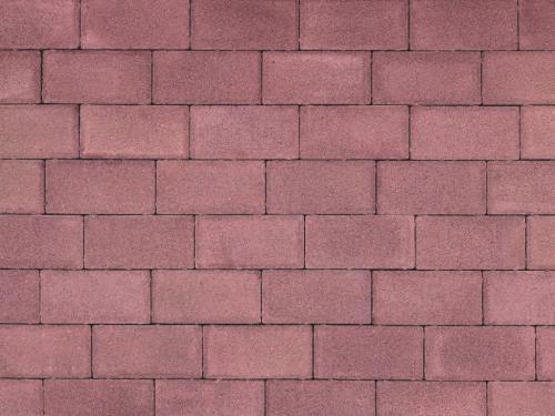 Б.1.П.6 Плитка тротуарная "Брусчатка" 200х100х60 Гранит Красный с черным