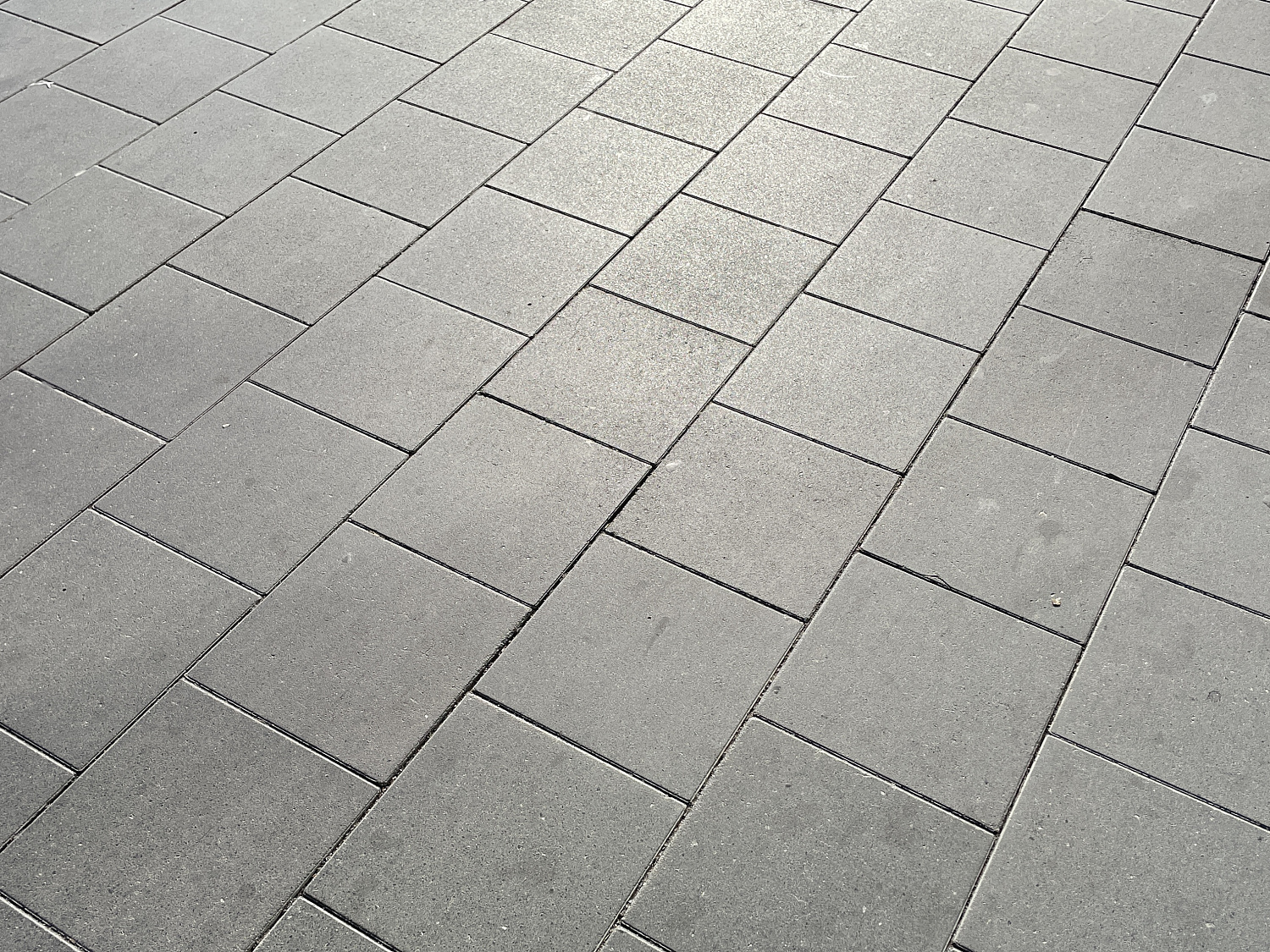 Международный аэропорт Толмачево