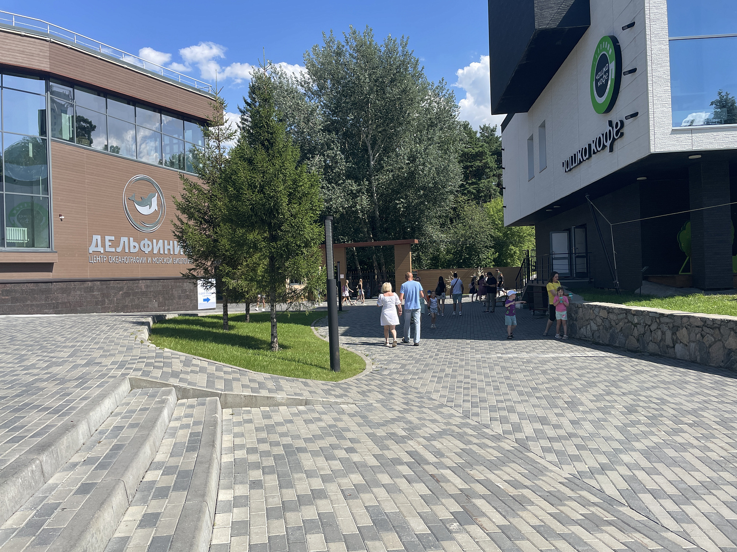 Коллекция "СТАНДАРТ"