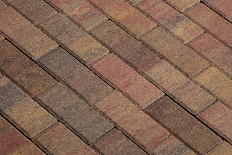 А.1.П.4 Плитка тротуарная "Брусчатка" 200х100х40 Колормикс Алтайский Марс А.1.П.4 Плитка тротуарная "Брусчатка" 200х100х40 Колормикс Алтайский Марс