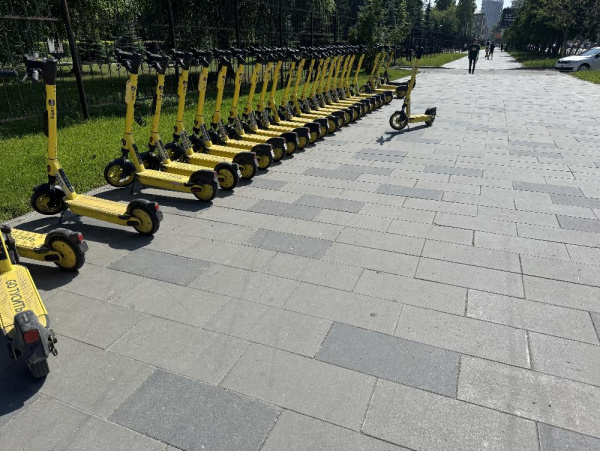 Б.2.П.6 Плита тротуарная "Прямоугольник" 600х300х60 Стандарт черный