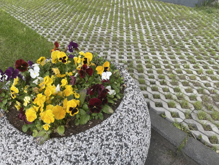 В.1.ГР.10 Газонная решетка "Меба" 600х400х100 Стандарт серый В.1.ГР.10 Газонная решетка "Меба" 600х400х100 Стандарт серый