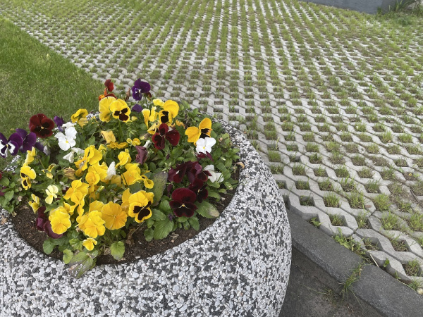 В.1.ГР.10 Газонная решетка "Меба" 600х400х100 Стандарт серый В.1.ГР.10 Газонная решетка "Меба" 600х400х100 Стандарт серый