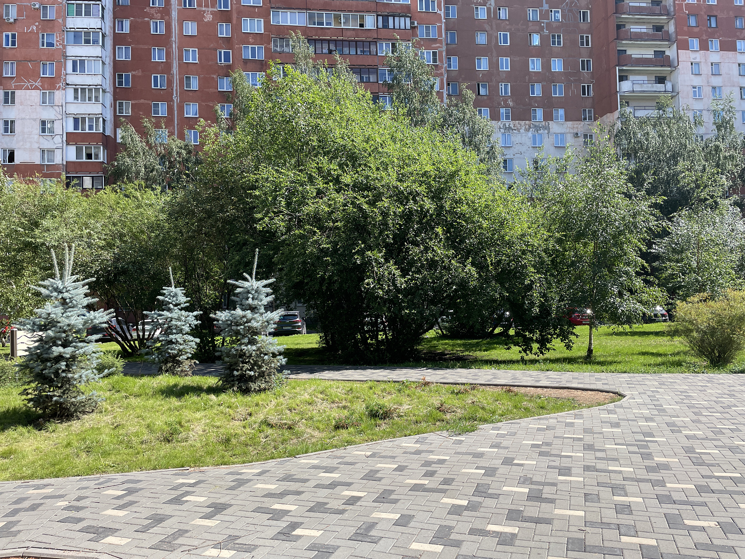 Коллекция "СТАНДАРТ"