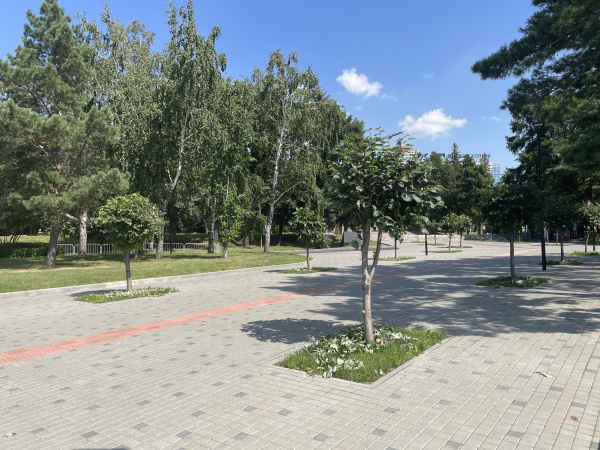 В.1.К.8 Плитка тротуарная "Квадрат" 100х100х80 Стандарт серый В.1.К.8 Плитка тротуарная "Квадрат" 100х100х80 Стандарт серый