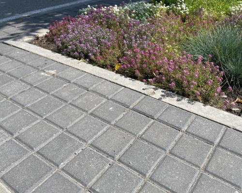 Б.1.К.6 Плитка тротуарная "Квадрат" 100х100х60 Стандарт черный