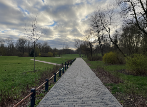 Б.1.Кл.6 Плитка тротуарная "Классико" 60 мм Стандарт серый