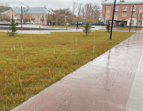 Б.1.ПИ.6 Плитка тротуарная "Антик" 60 мм Стандарт коричневый