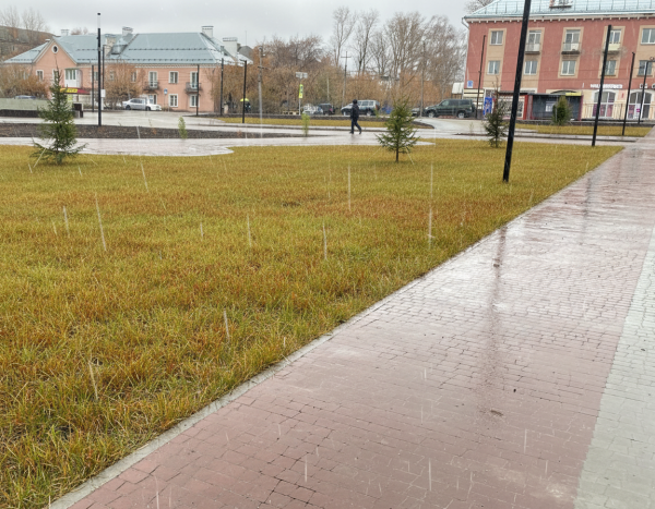 Б.1.ПИ.6 Плитка тротуарная "Антик" 60 мм Стандарт коричневый