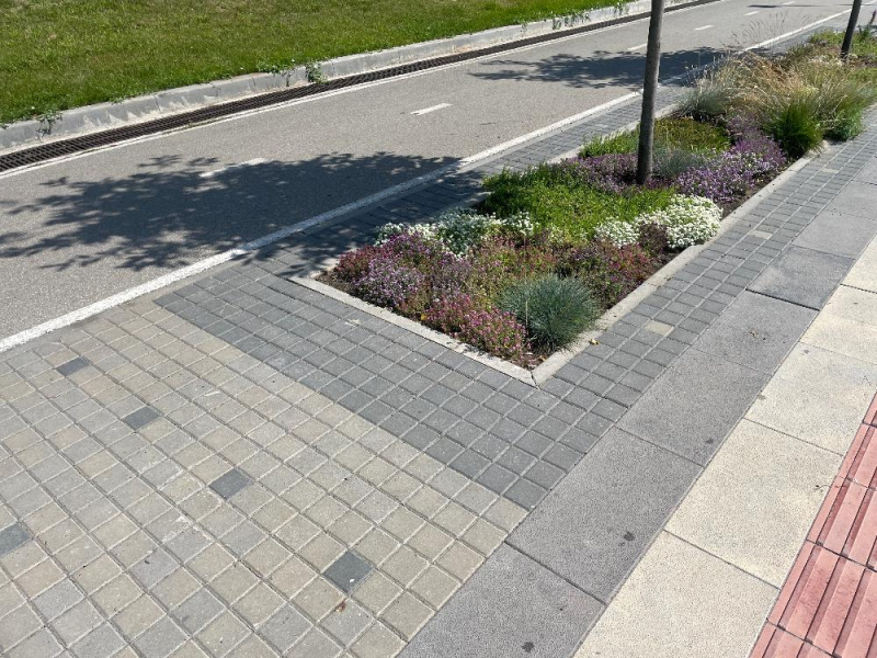 Б.1.К.6 Плитка тротуарная "Квадрат" 100х100х60 Стандарт черный