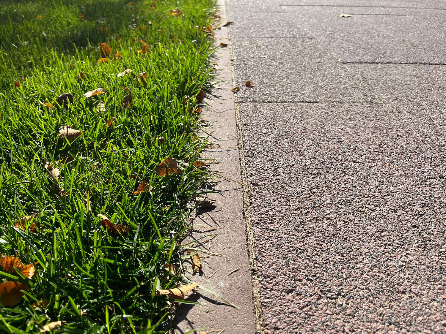 Аллея братьев Сазоновых, Омск