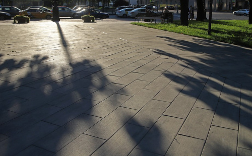 Б.6.П.8 Плита тротуарная "Прямоугольник" 900х300х80 Стандарт серый (плита шаговая)