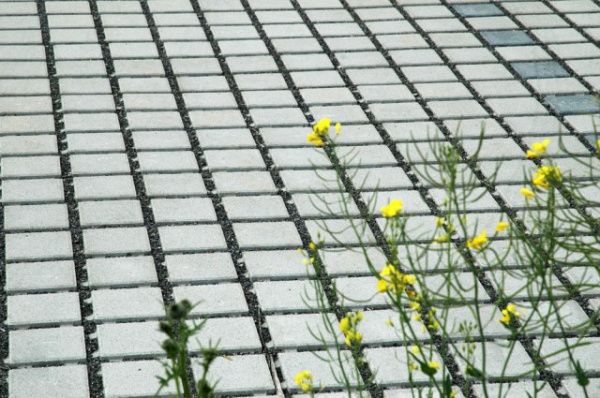 В.1.ГП.8 Газонная плитка "Дона" 140х140х80 Стандарт серый В.1.ГП.8 Газонная плитка "Дона" 140х140х80 Стандарт серый