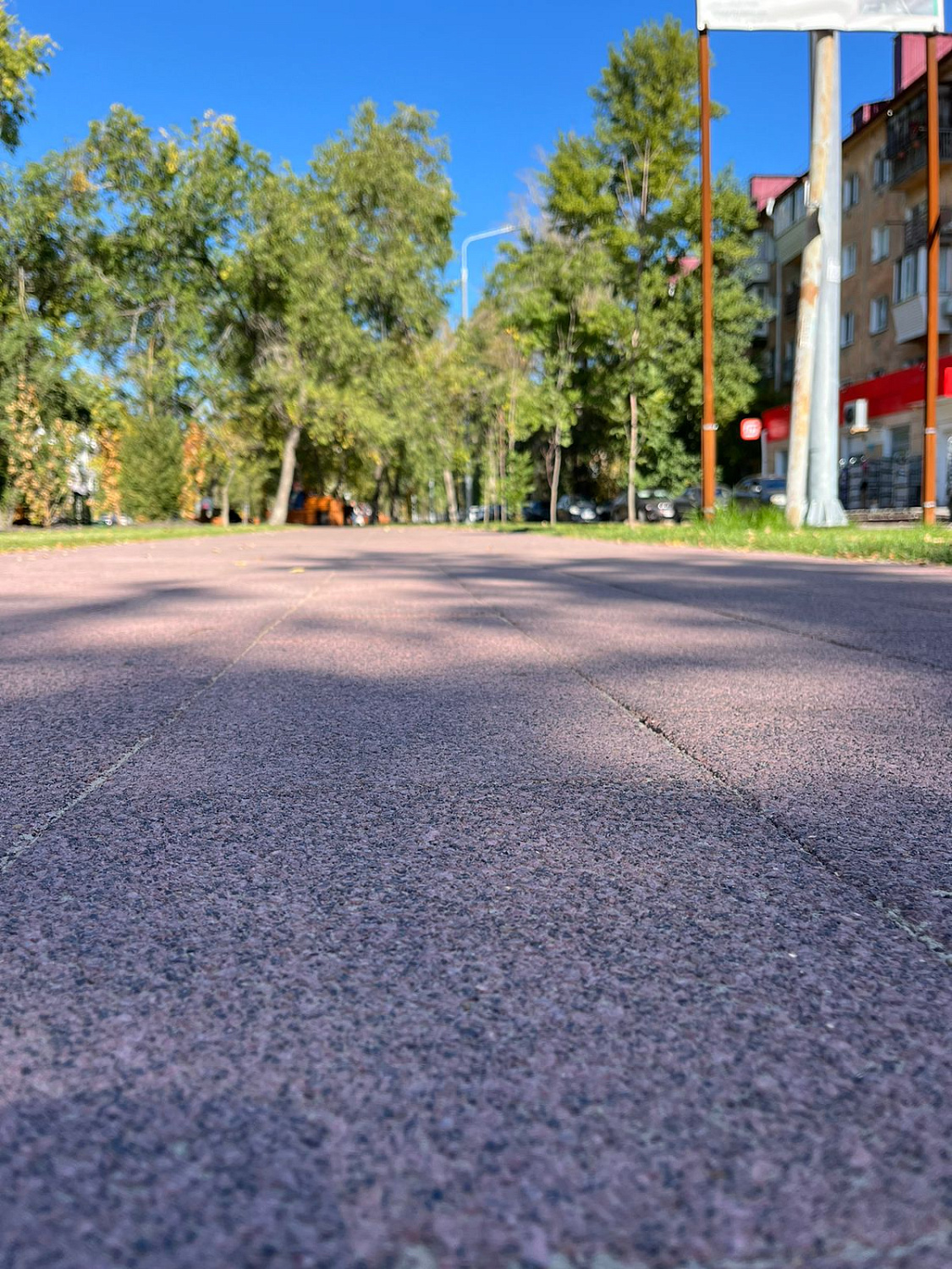 Аллея братьев Сазоновых, Омск