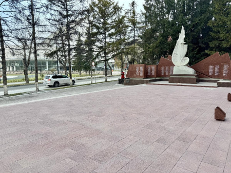 Б.2.П.8 Плита тротуарная "Прямоугольник" 600х300х80 Гранит красный с черным